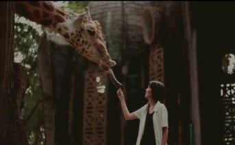 postcards_from_the_zoo