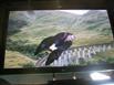 warner_bros_studio_tour_potter_9