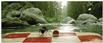miniscule2