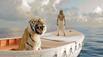 Life Of Pi