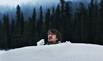 Lapland Odyssey