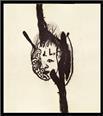 David Lynch: self portrait
