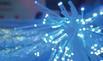 Fibre
