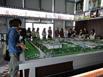 chinawood_model