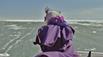 laurence_anyways