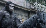 1201051_dawn-of-the-planet-of-the-apes