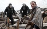 1201354_dawn-of-the-apes-