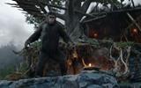 1201396_dawn-of-the-apes-2