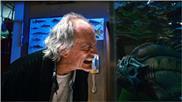 Piranha_3DD_1