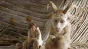 Where The Wild Things Are