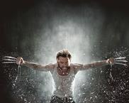 Wolverine