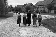 Michael Haneke's The White Ribbon