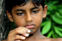 Rabbit's Killing next for Jayasundara