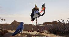 Adventures In Zambezia