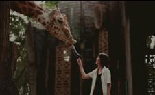 postcards_from_the_zoo