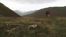 Sightseers