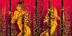 crazy_horse
