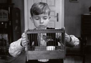 Michael Haneke's The White Ribbon