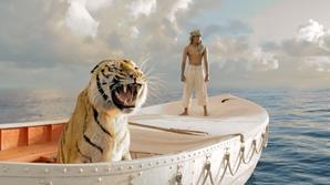 Life Of Pi