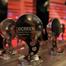 screen_awards_2011_6324
