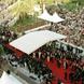 Cannes Red Carpet