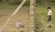 boy in the striped pyjamas