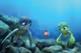 A Turtle's Tale