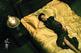 Pusan’s closing film, The Message