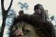Where The Wild Things Are