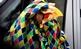 Four Lions