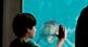 Dolphin_Tale