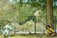 Woodsman_and_the_Rain
