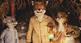 Fantastic Mr Fox