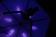 Enter the Void by Gaspar Noe
