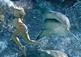 Shark Night 3D
