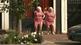 Meet_the_Fokkens
