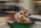Alvin And The Chipmunks: The Squeakquel
