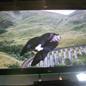 warner_bros_studio_tour_potter_9