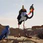 Adventures In Zambezia