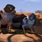 Adventures In Zambezia