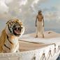 Life Of Pi