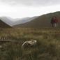 Sightseers