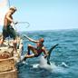 Kon Tiki 