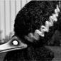 Frankenweenie_3