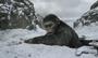'War For The Planet Of The Apes': Review